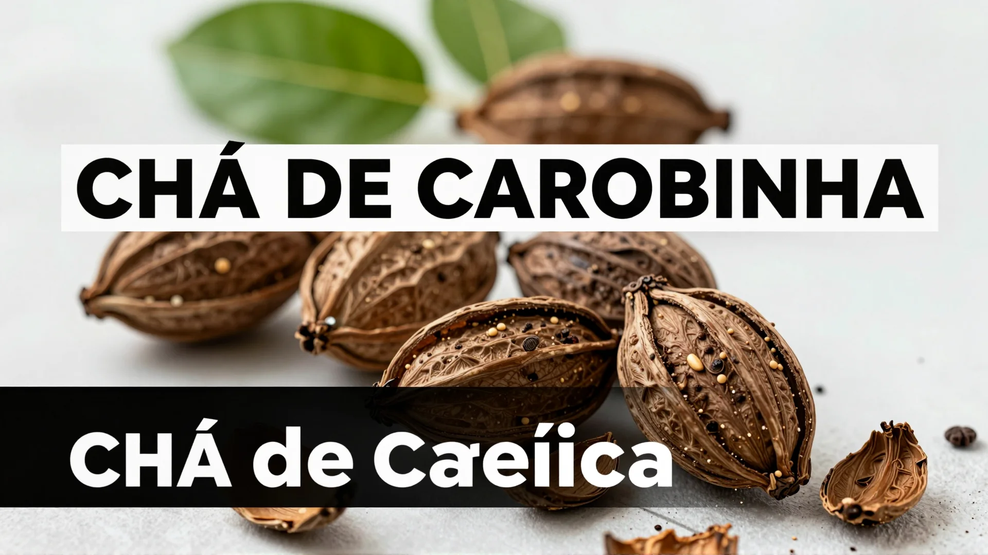 Chá de carobinha: como fazer em casa e quais os benefícios comprovados para a saúde