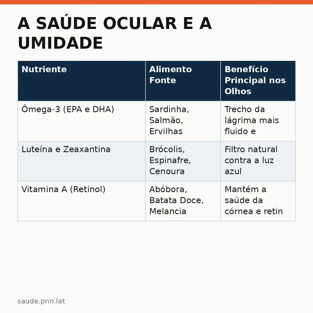 Infográfico - A saúde ocular e a umidade do ambiente: O impacto real de deixar o ar condicionado ligado à noite