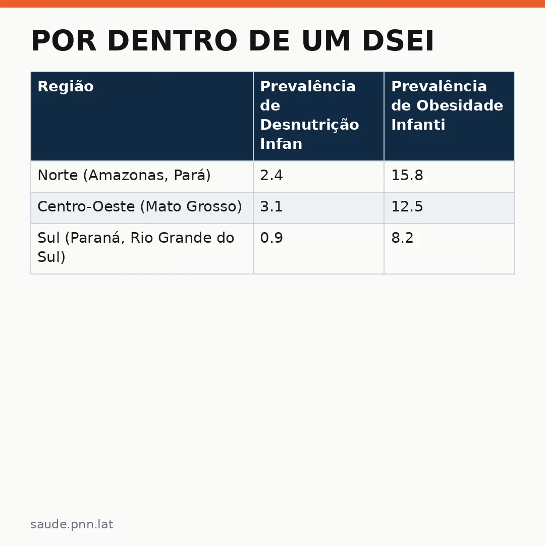 Infográfico - Por dentro de um DSEI: como o SUS organiza a saúde nos territórios indígenas