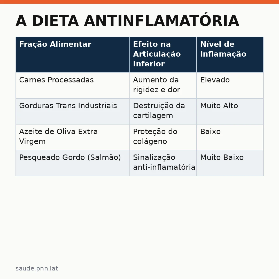 Infográfico - A Dieta Antinflamatória: Como Proteger Suas Articulações Inferiores