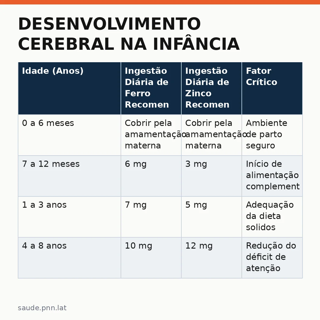 Infográfico - Desenvolvimento Cerebral na Infância: Ferro, Zinco e Vitaminas são Fundamentais