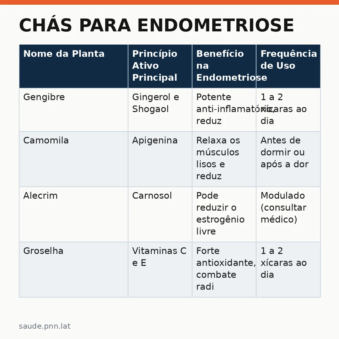 Infográfico - Chás para Endometriose: O Que Beber e o Que Evitar