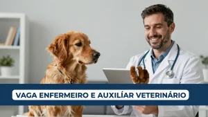 Vaga Enfermeiro e Auxiliar Veterinrio no RHVet Conhea a Oportunidade em So Paulo