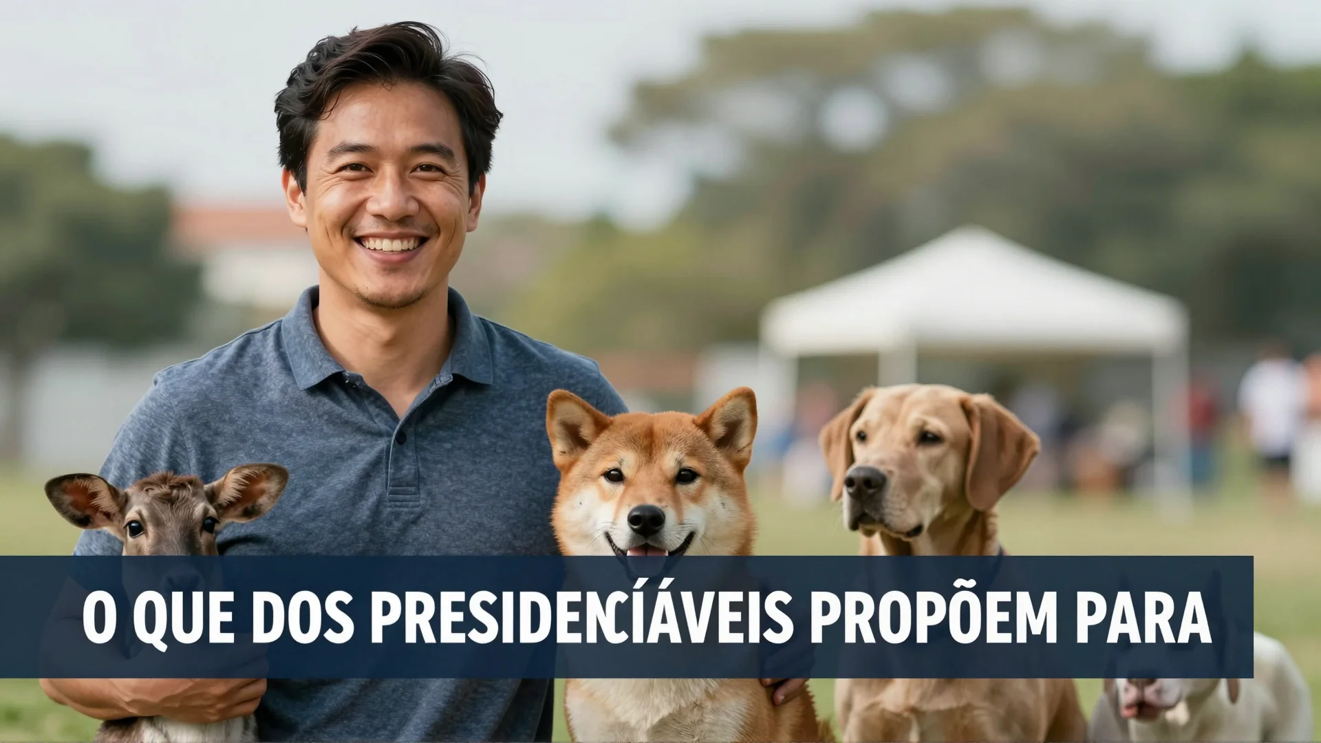 O que os presidenciáveis propõem para o bem-estar animal e o controle de zoonoses